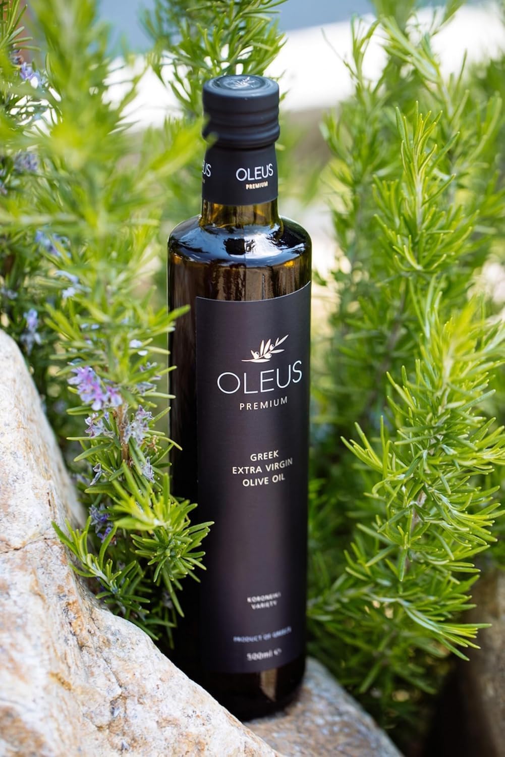 Oleus griechisches Olivenöl extra nativ - AWARD 1 Liter (2x500ml)