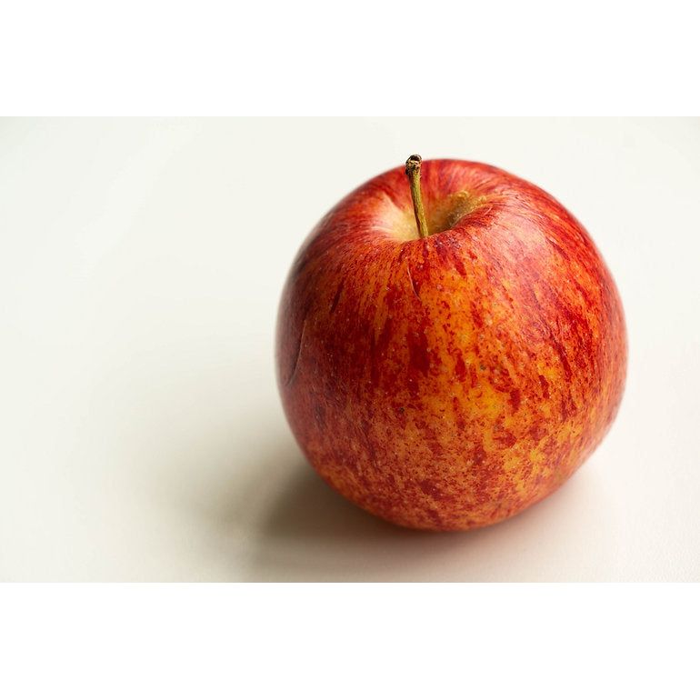 PAN Apfelessig 4 Liter Kanister