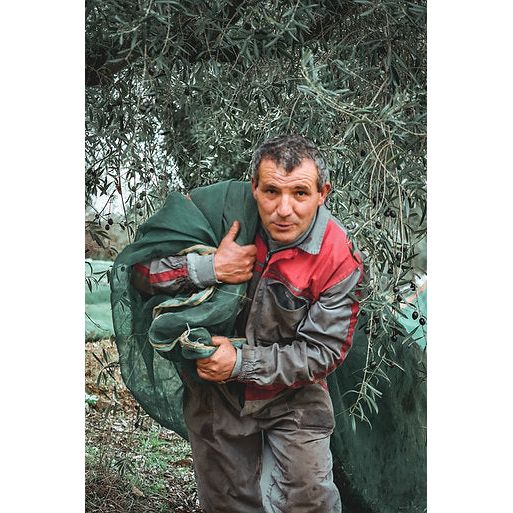 Lamda Estate Olivenöl extra nativ 3 Liter Kanister - MHD 28/01/2024