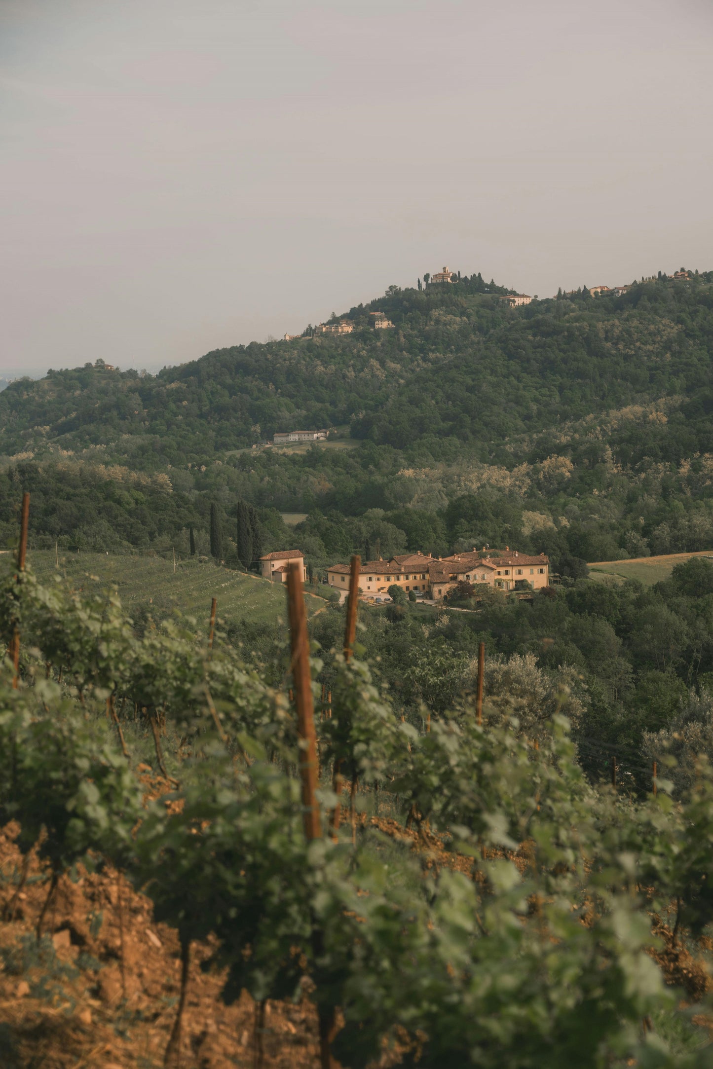 Charalambakis Two Heroes Weiss 6x 0,75l aus Kreta