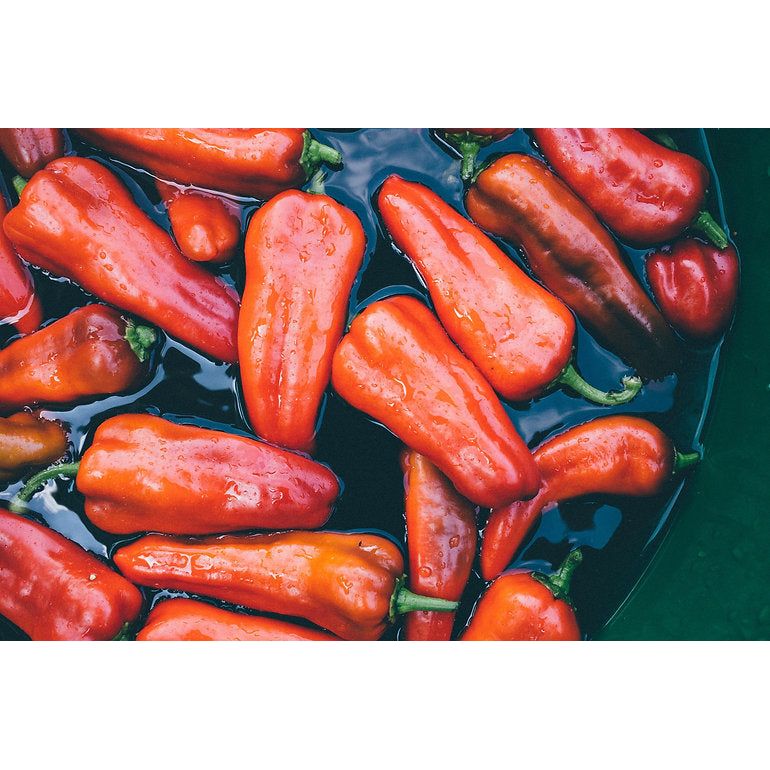 ZANAE - Rote Florinis Paprika geröstet 450g (Netto 350g)