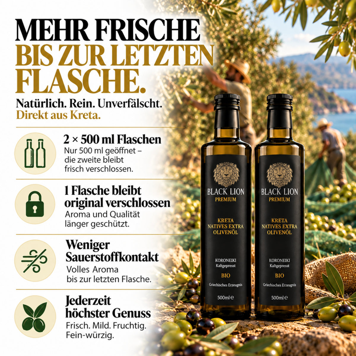 Bio Olivenöl Black Lion - Griechisches extra natives Öl 2x500ml (1Liter)
