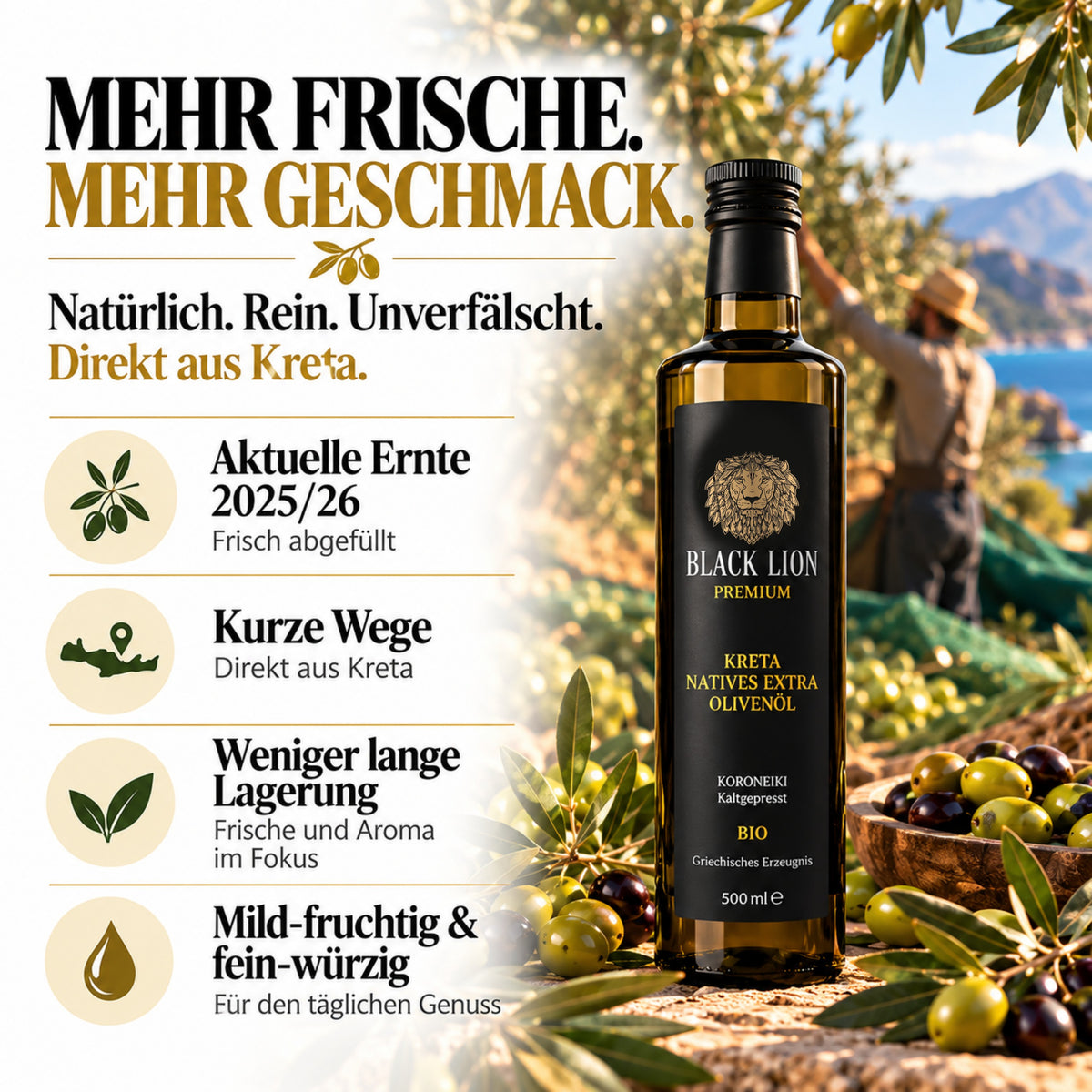 Kreta Black Lion Bio Griechisches Olivenöl extra nativ 500ml