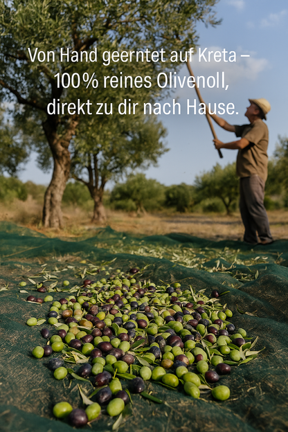 Golden Creta, natives Olivenöl extra aus Kreta 3x1 Liter Kanister, frische Ernte