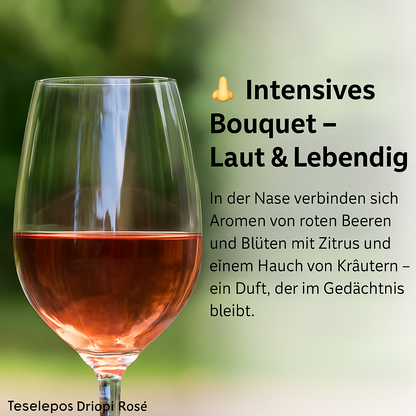 Tselepos Driopi griechischer Rosewein