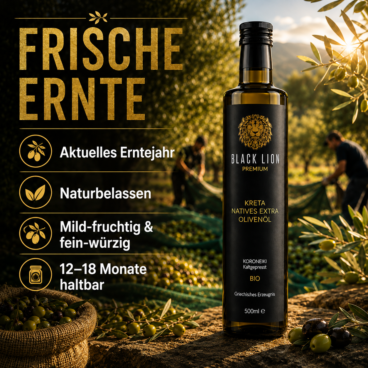 Black Lion BIO Olivenöl aus Kreta – 6x 750ml – extra nativ, kaltgepresst & fruchtig-mild – Premium Olivenöl direkt vom Erzeuger