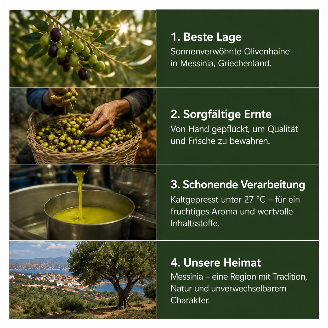 OREA-FEINKOST Bio griechisches Olivenöl nativ extra – Bag-in-Box 5 L | 📦Aktuell nicht auf Lager, Vorbestellung möglich – 🚚Versand ab 09.07.2026