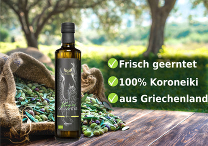 Asterius griechsiches Bio Olivenöl extra nativ - 2x500ml