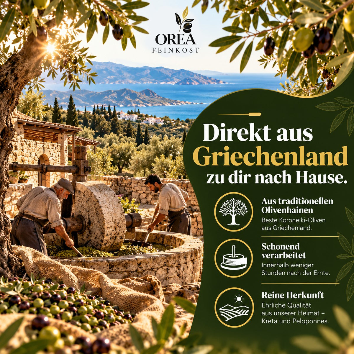 Lamda Estate Griechisches Olivenöl 5 L – Extra Nativ – 100 % Koroneiki – Kaltgepresst aus dem Peloponnes