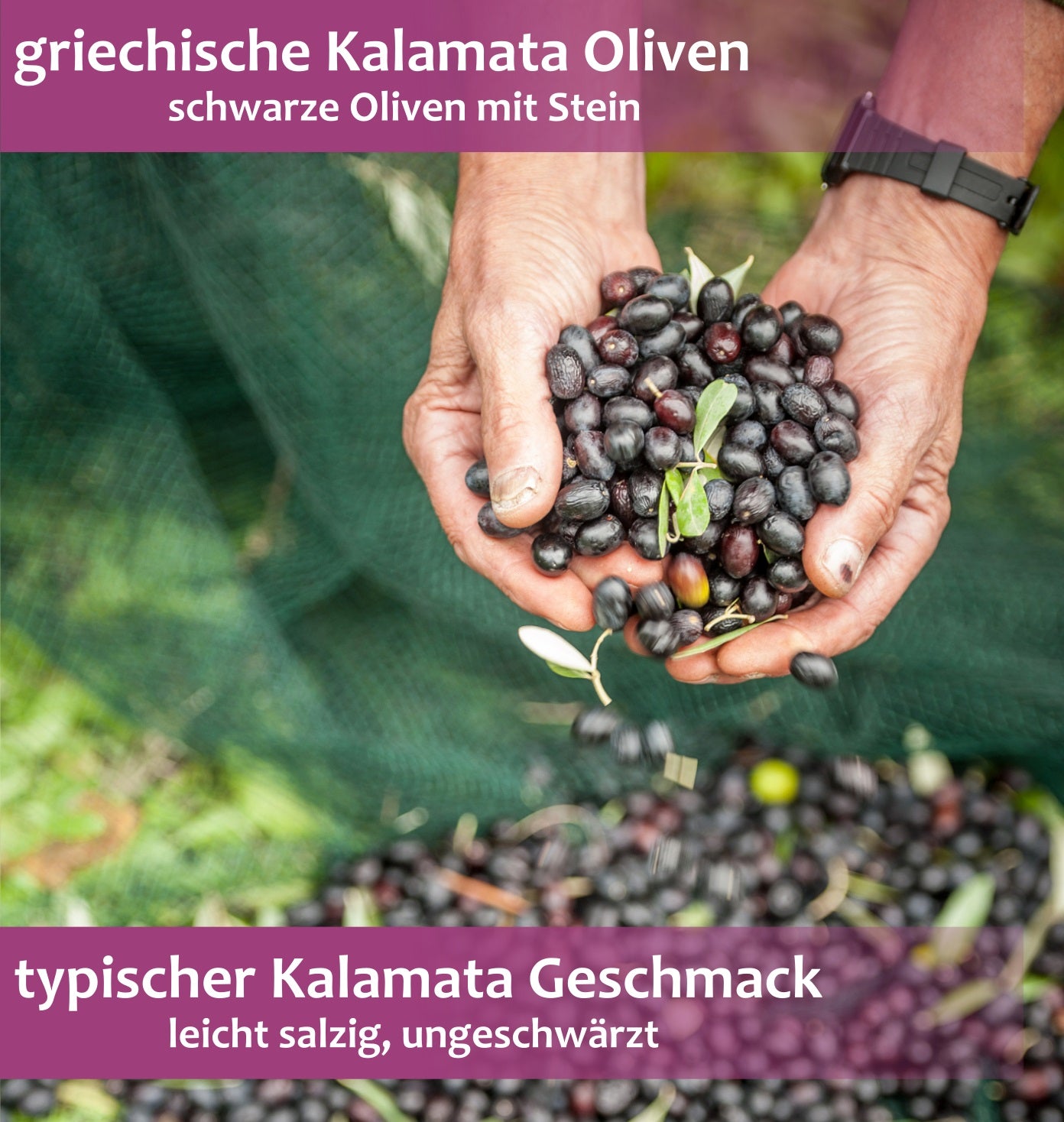Kreta Olivenöl 1L + Kalamata Oliven 250g | Probierset für Griechischen Bauernsalat | Extra Nativ, Kaltgepresst